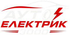 Ауто Електрик 3000